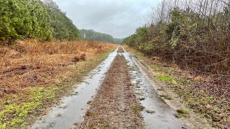 Wet Hiking Trail