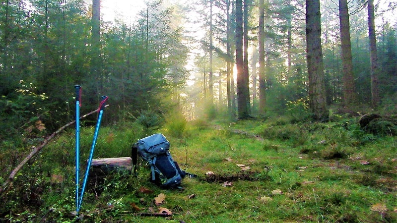 hiking backpack forest