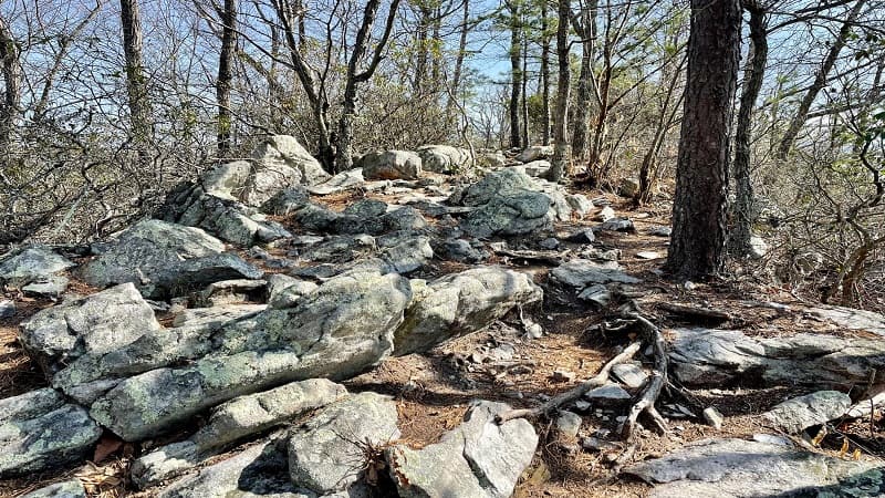 Rocky Kaylors Knob Trail