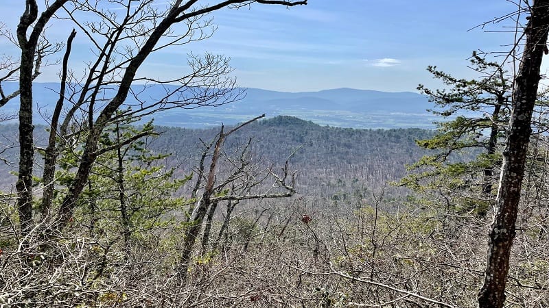 Kaylor's Knob Views