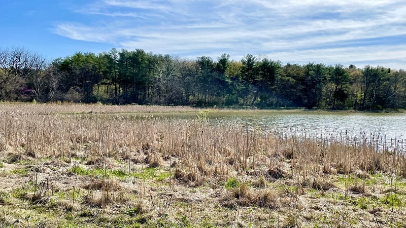 Lake Shenandoah Shoreline Views