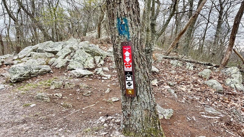 Massanutten Ridge Trail Fork