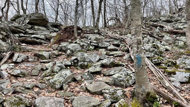 Massanutten Ridge Rock Scramble