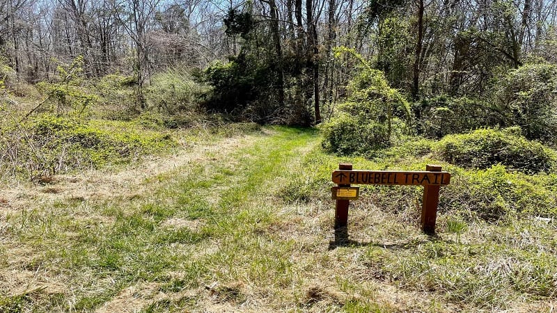 Bluebell Trail Sign