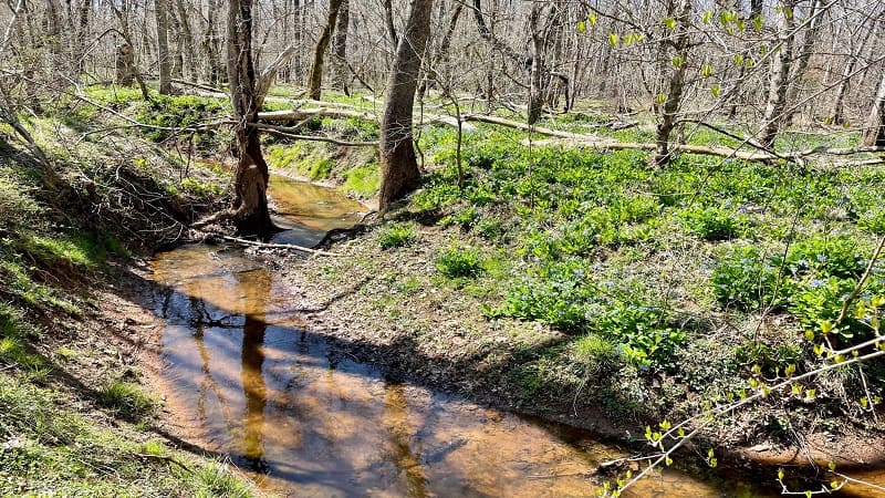 Cedar Run at Merrimac Farm