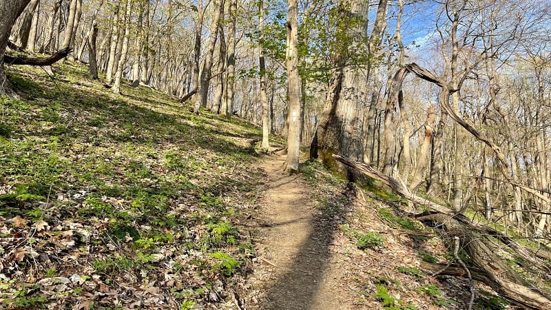 Steep Trail on Angel's Rest Hike