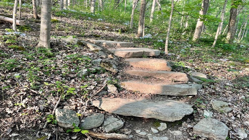 Trail Steps