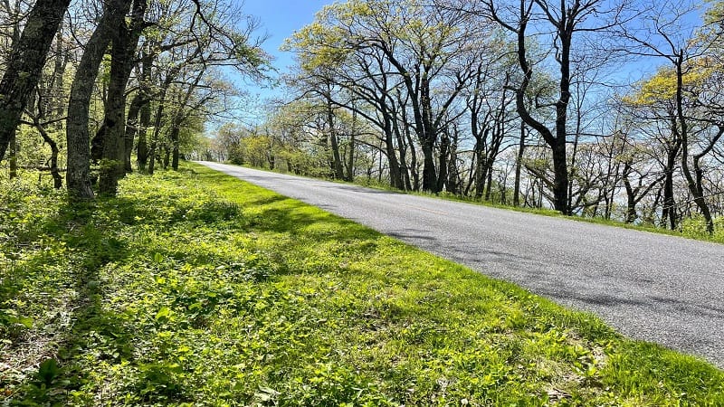 Blue Ridge Parkway