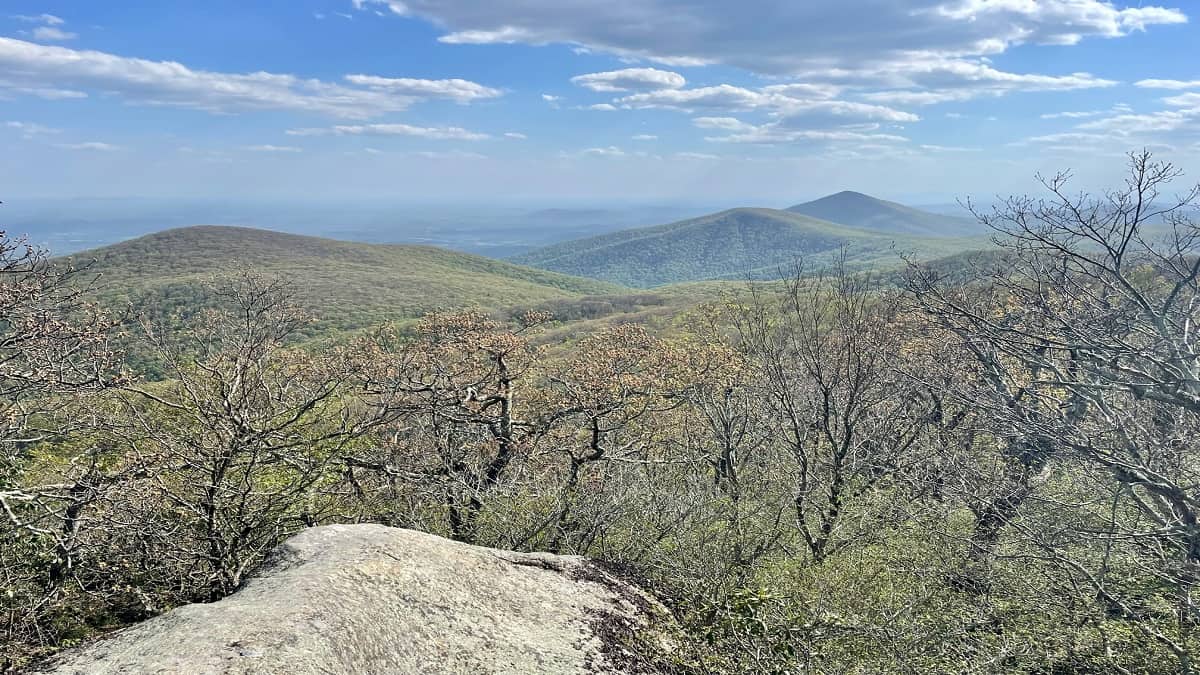 Apple Orchard Mountain | Hikes in Virginia