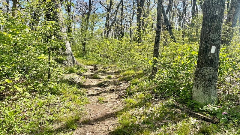 Appalachian Trail