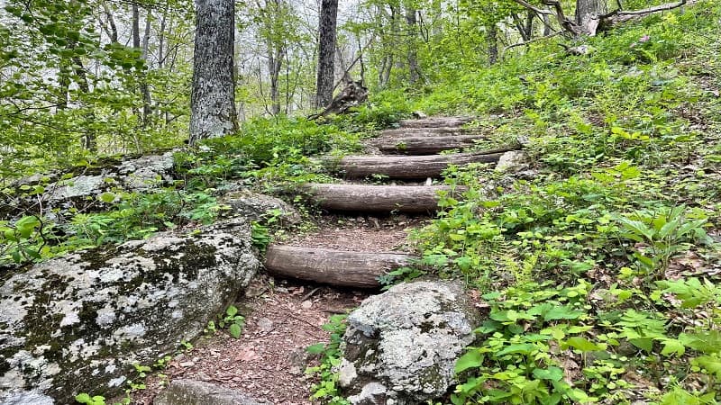 Wooden Trail Steps