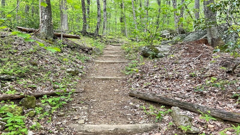 Wooden Steps in Trail