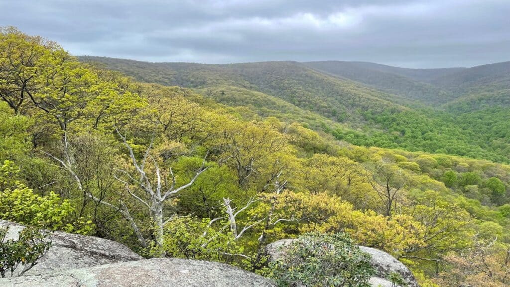 Bear Church Rock Overlook | Shenandoah National Park | Hikes in Virginia