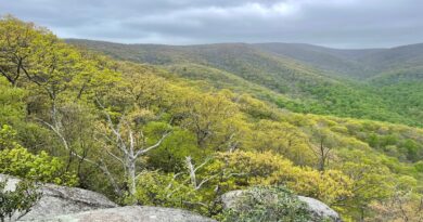 Bear Church Rock Overlook | Shenandoah National Park | Hikes in Virginia