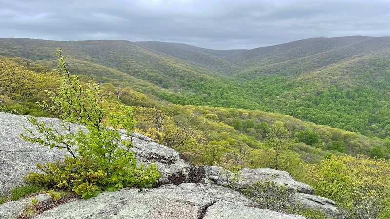 Bear Church Rock Views