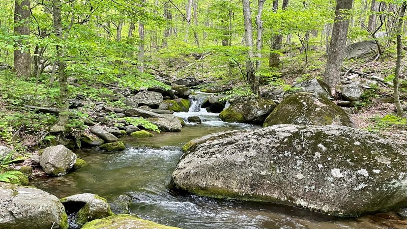 Staunton River