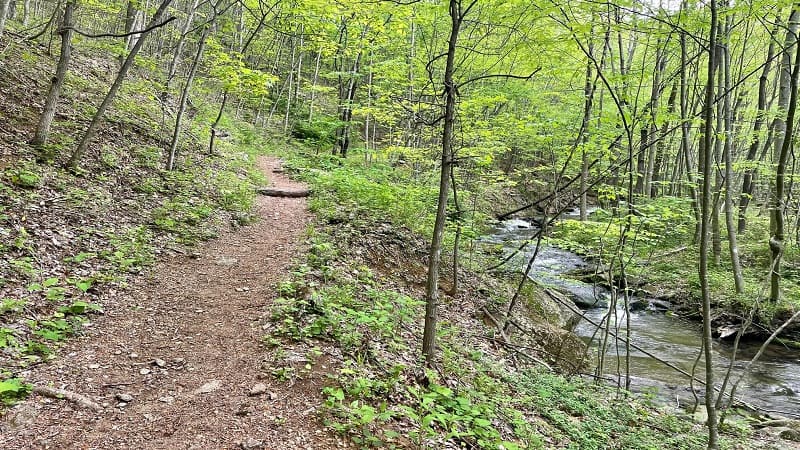 Staunton River Trail