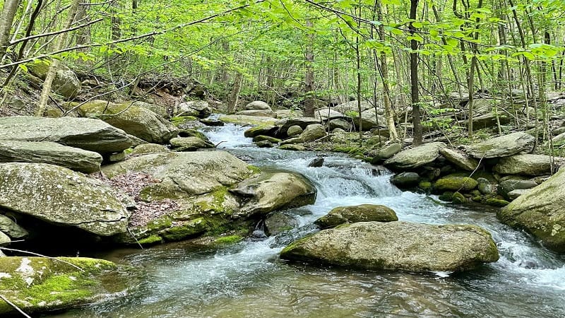 Staunton River Cascades