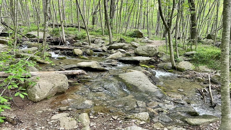 Staunton River Water Crossing