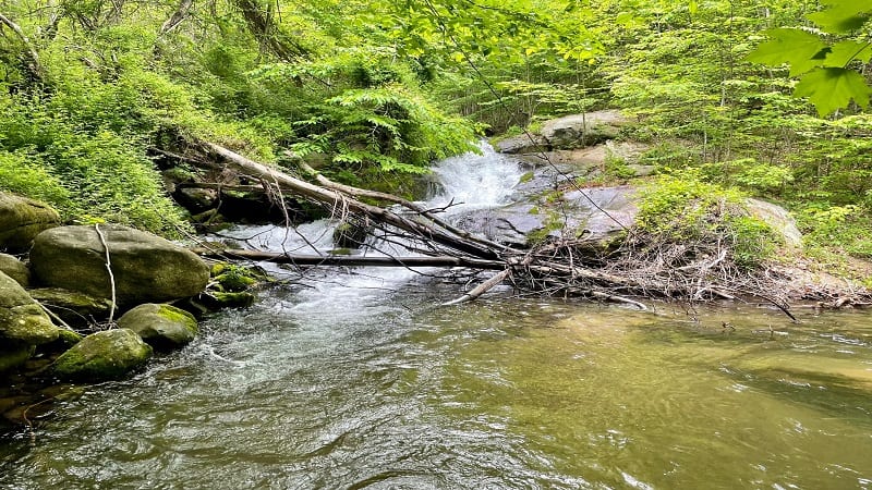 Staunton River Waterfall