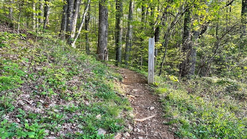 Bluff Mountain Trailhead