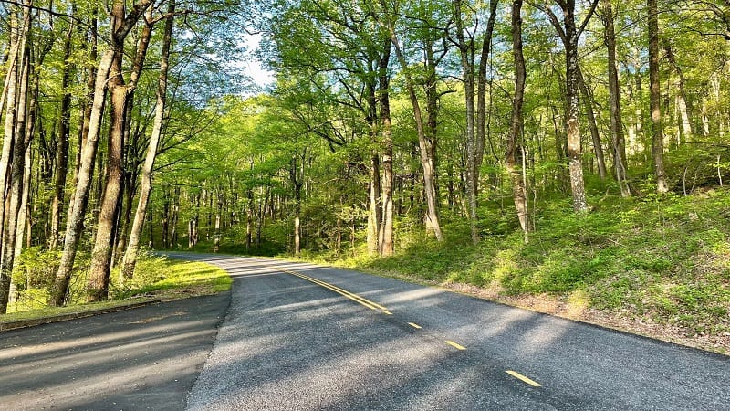 Blue Ridge Parkway