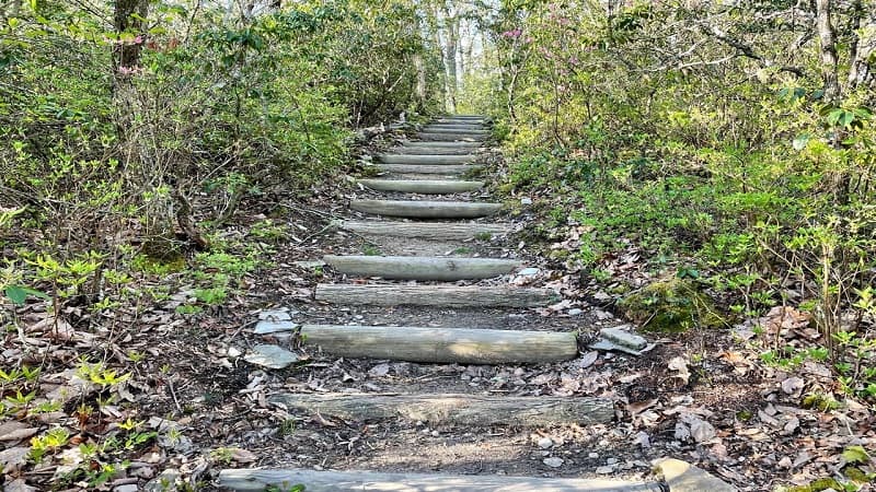 Steps to Bluff Mountain