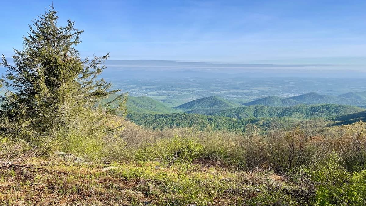 Opening Weekend Trail Hike at Thomas Jefferson's Poplar Forest - LYH –  Lynchburg Tourism