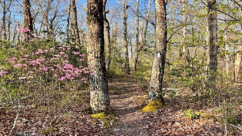 Appalachian Trail