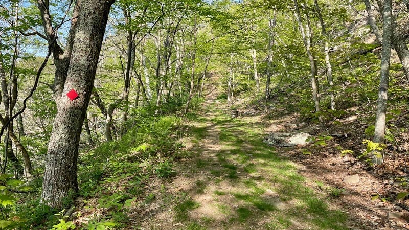 Big House Mountain Trail