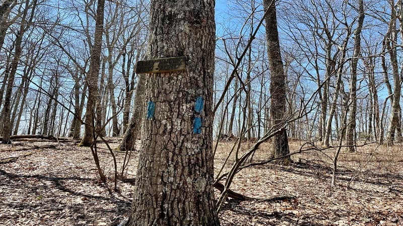 Kelly Knob Sign