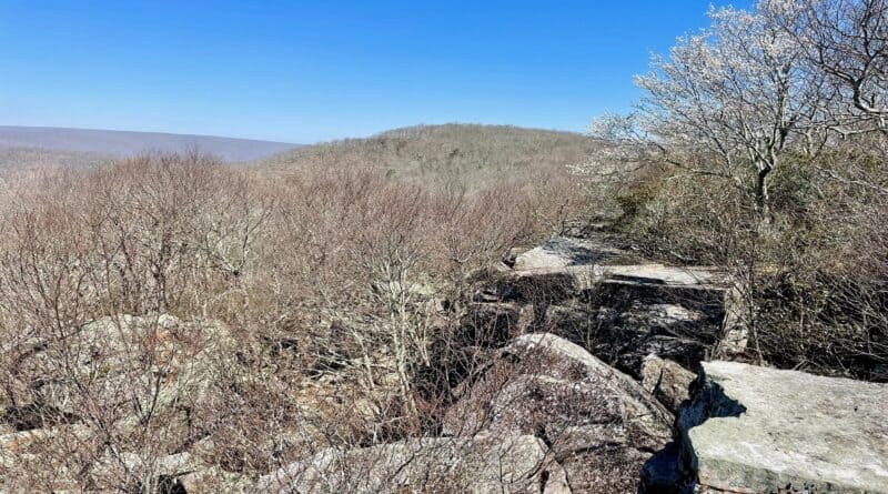 Kelly Knob | Appalachian Trail Hike | Blacksburg, Virginia