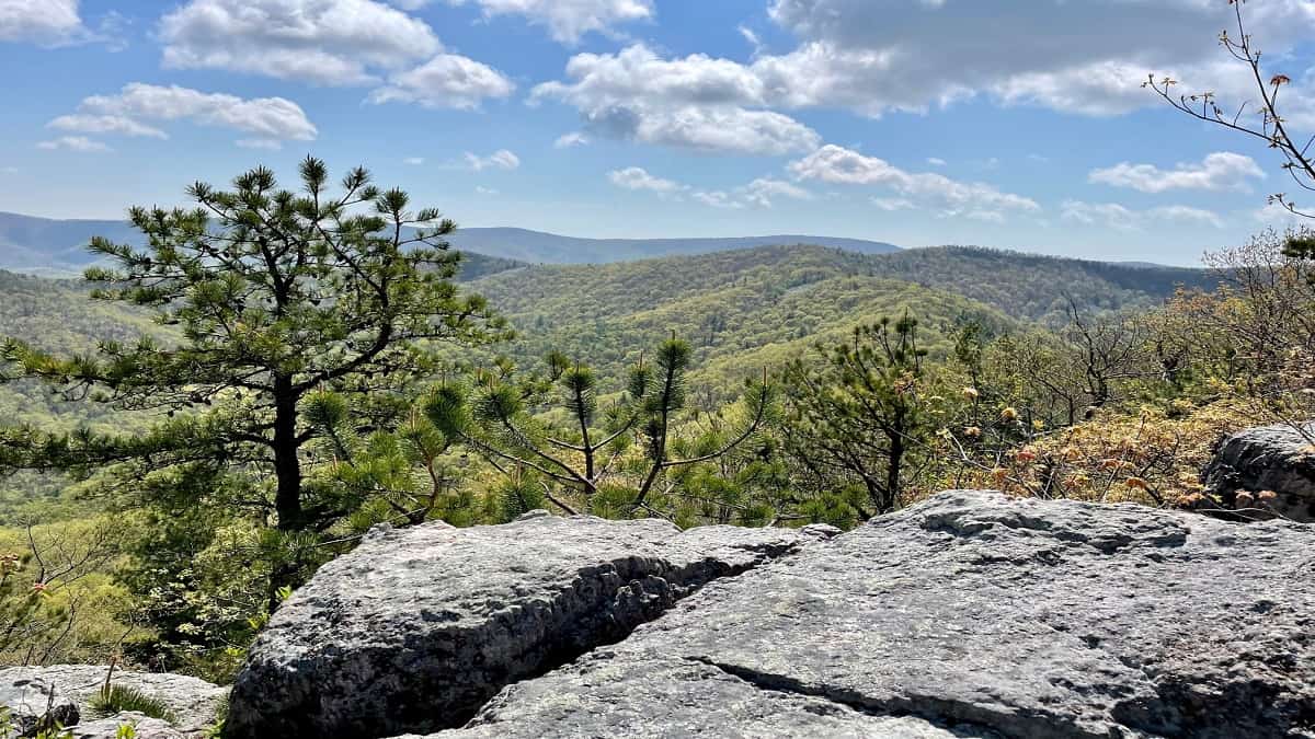 Lewis Peak: Hike to Big Views at Shenandoah National Park