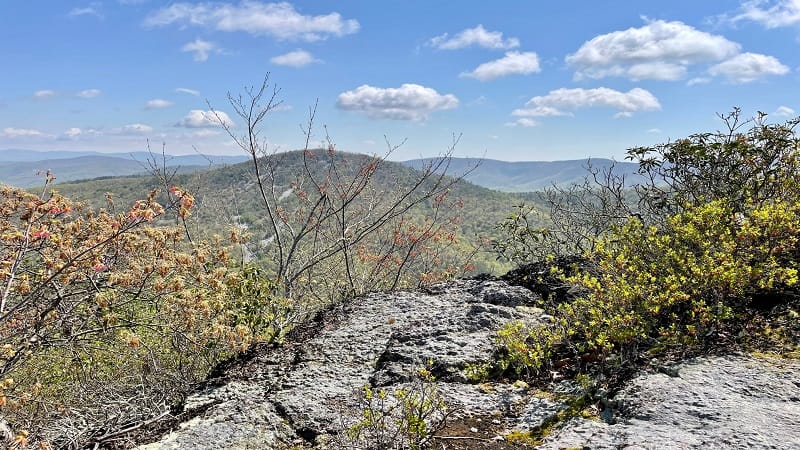 Lewis Peak Summit Views