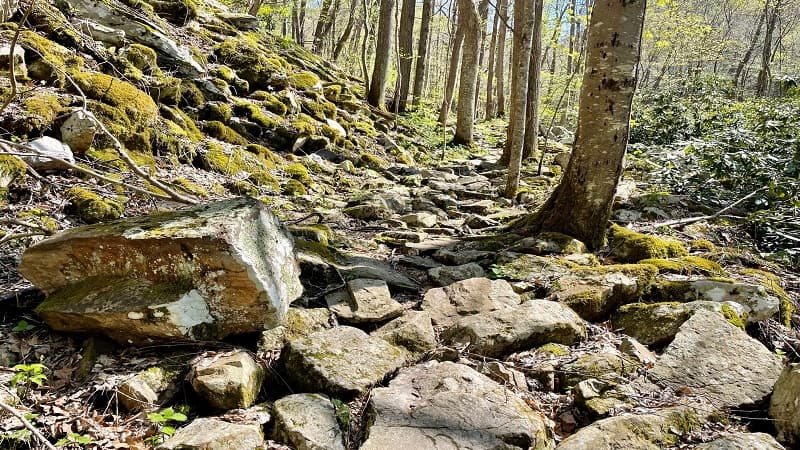 Rocky Hiking Trail