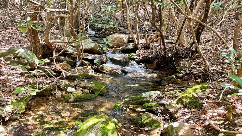 Dismal Creek Cascades