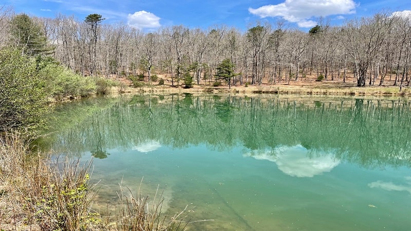 Sugar Run Mountain Pond