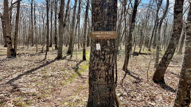 Ribble Trail Sign