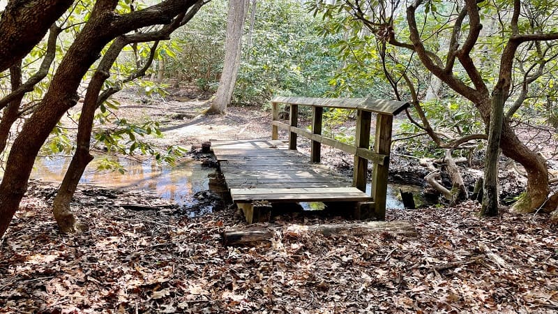 Wooden Bridge on Appalachian Trail