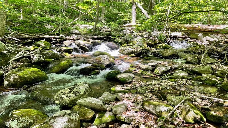 Reed Creek Cascades