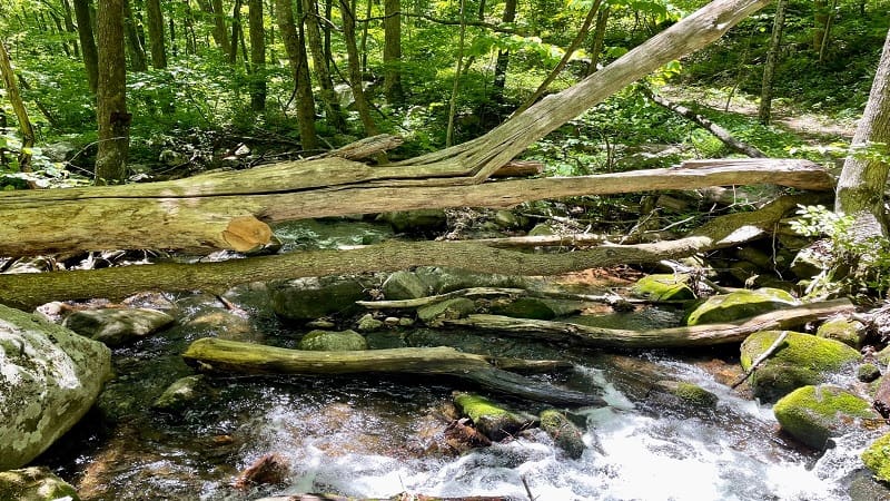 Water Crossing