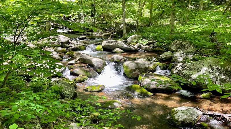 Cascading Reed Creek