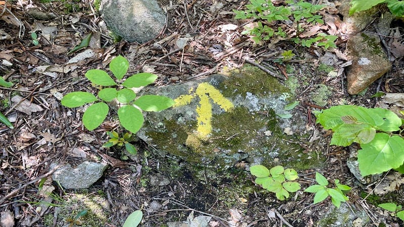 Yellow Arrow to Spur Trail