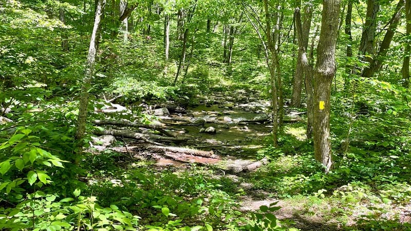 Second Water Crossing at Reed Creek