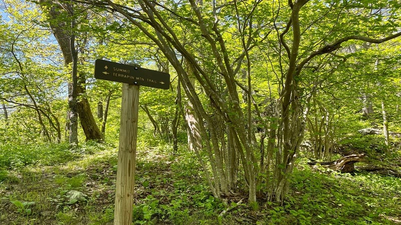 Summit Sign at Terrapin Mountain