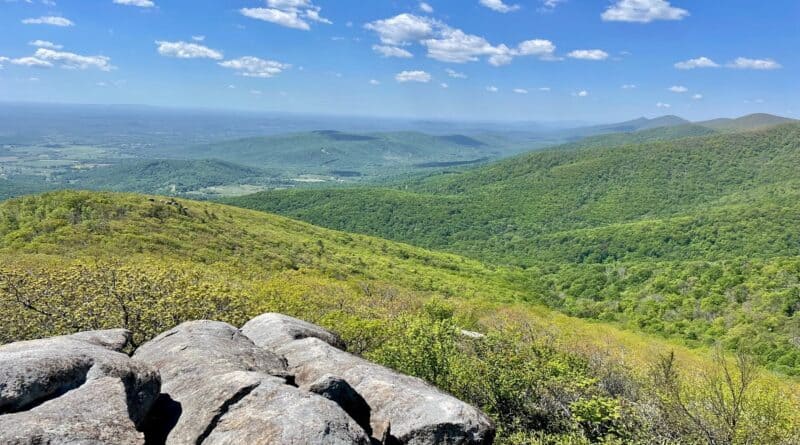Terrapin Mountain | Virginia Hikes with Views