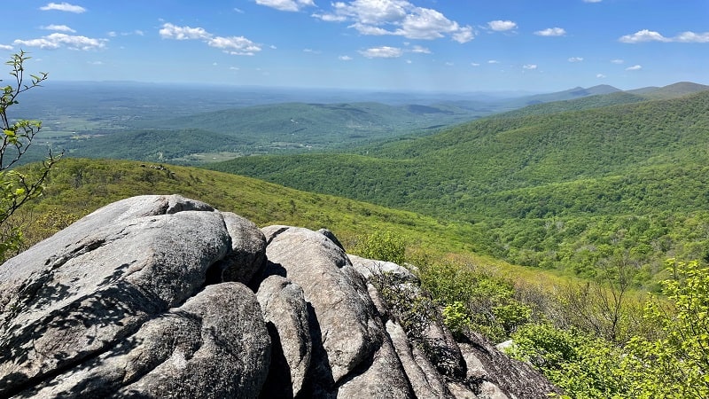 Terrapin Mountain Summit Views