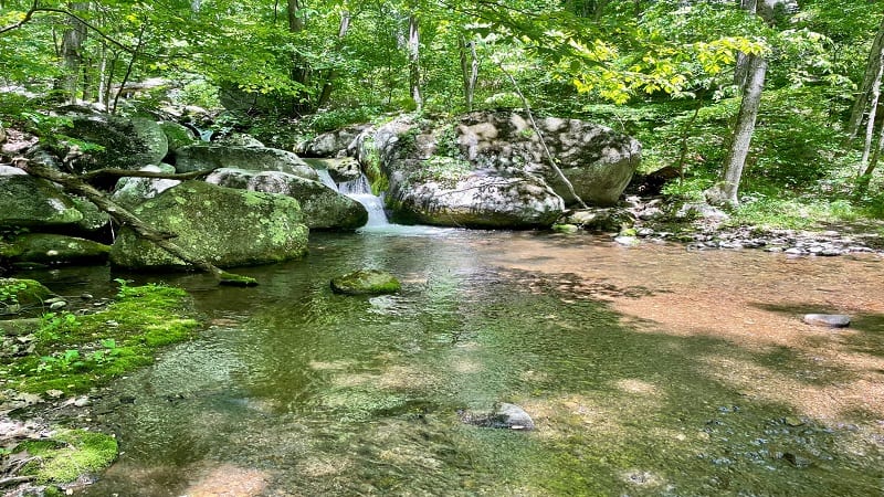 Watering Hole on Reed Creek