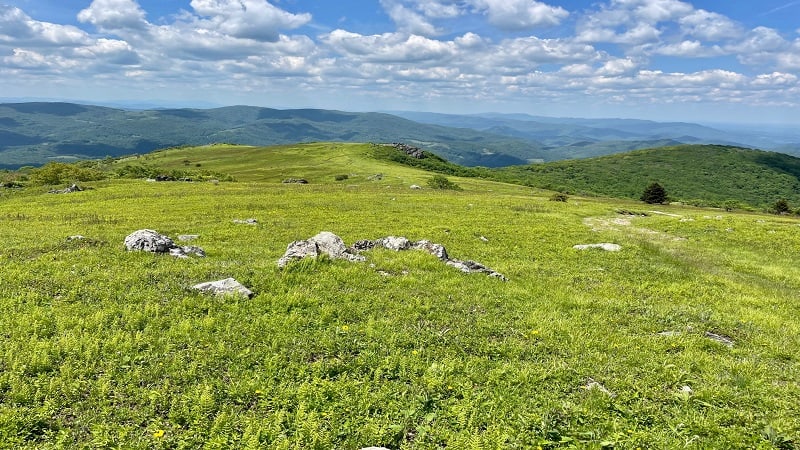 Grassy Balds Near Whitetop