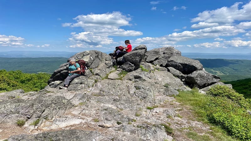 Buzzard Rock